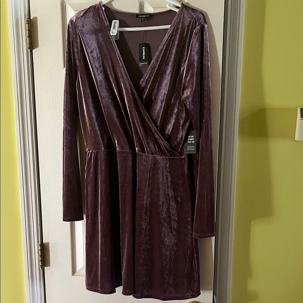 Express Velvet Long Sleeve Dress in Deep Purple